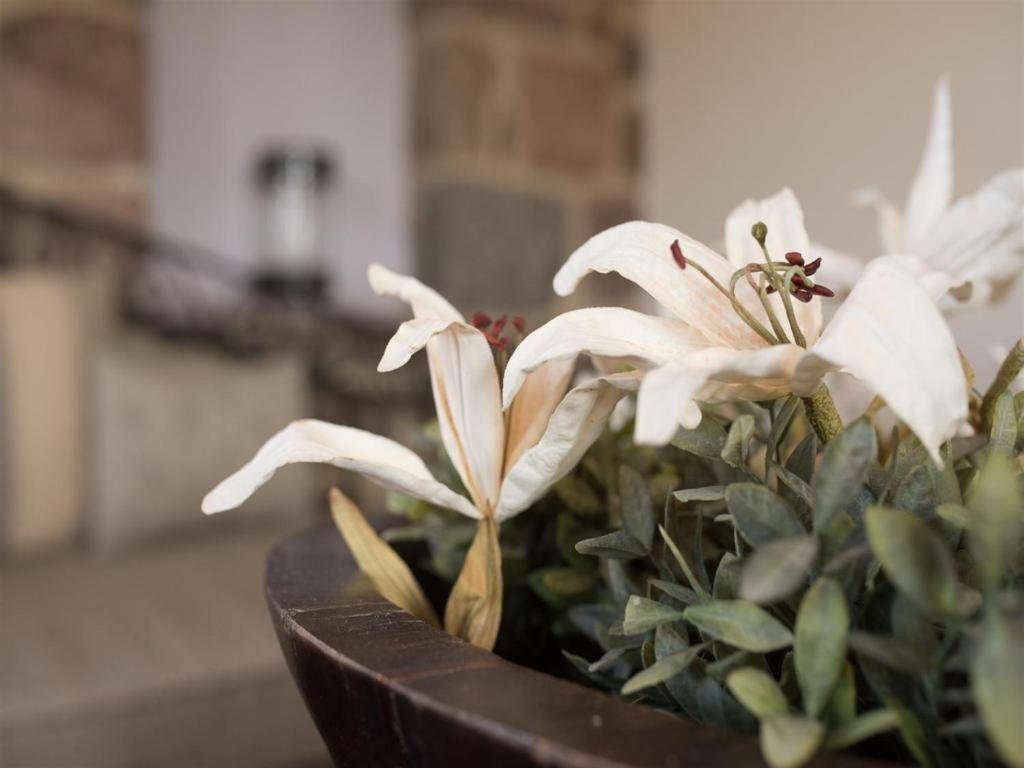 Moongarden Aparthotel Mithimna Ngoại thất bức ảnh